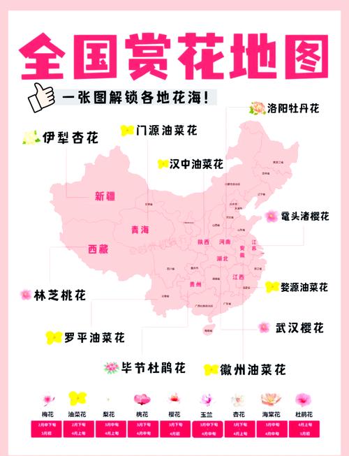 缤纷花事登场!2025全国早春赏花地图来了 一起解锁春日限定浪漫