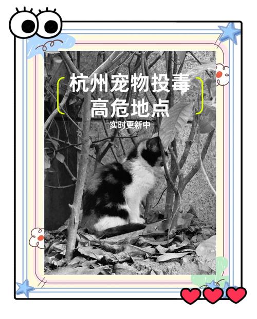 突然火了!杭州有人开始养“新宠物”了!网友傻眼:真心看不懂……