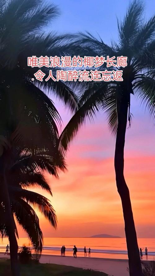 “椰梦诗歌长廊”三亚启幕 诗人与游客共赏诗意新春