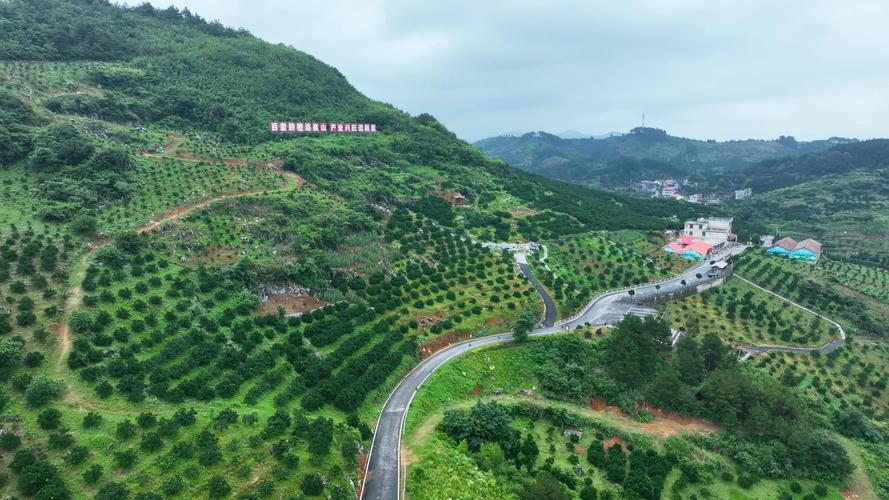 湘西龙山:公路环境综合整治扮靓美丽乡村