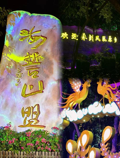 原创组图|看!这就是元旦的三亚