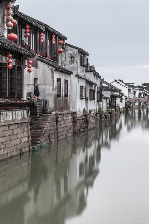 乡贤“回归”江南古镇:缕缕乡愁助水乡“出圈”