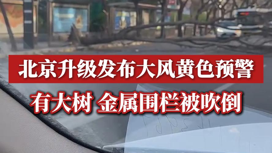 北京市发布大风黄色预警