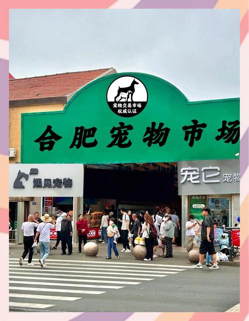 全国主流媒体在芜湖看国产宠物品牌实力“出圈”