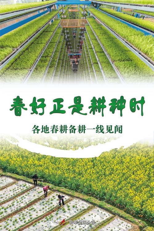 春耕春播正当时 让沃野“长”出高质量