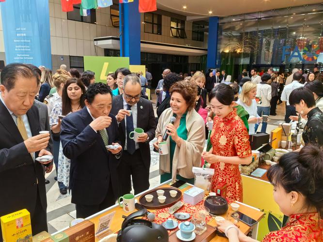 中国常驻联合国代表团举办“国际茶日”庆祝活动