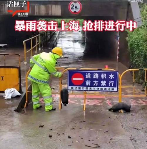 台风正在过境上海!你家风大雨大吗?