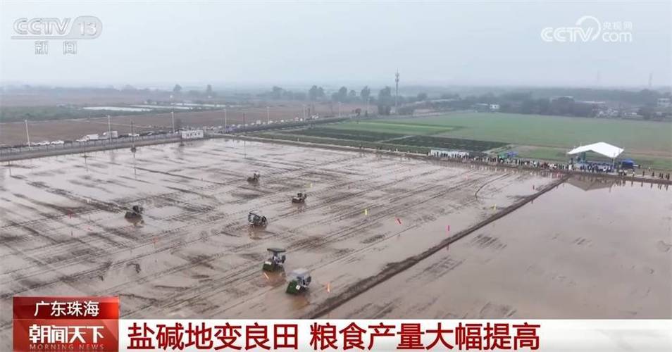 治“碱”增“粮” 科企联合助力肇源盐碱地变良田