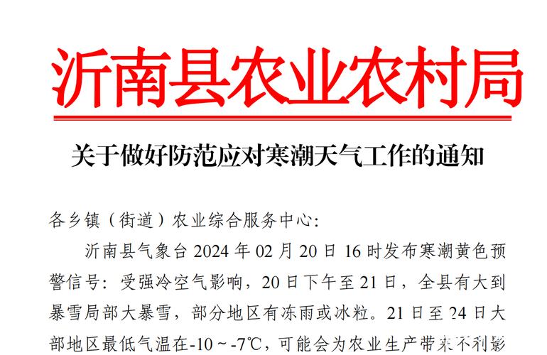 寒潮天气来袭!河南省农科院专家为蔬菜生产支“暖招”