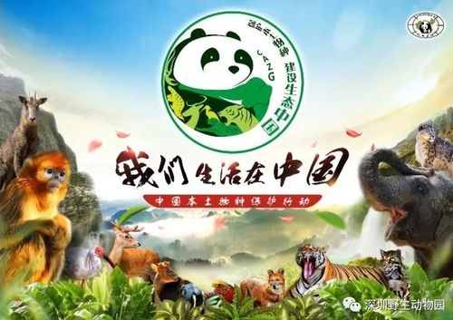 深圳举办2024年国际生物多样性日活动 生态市集 体现“野”趣