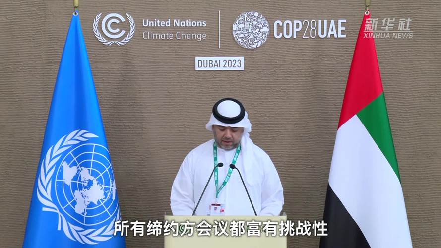 联合国气候变化迪拜大会就启动损失与损害基金达成一致