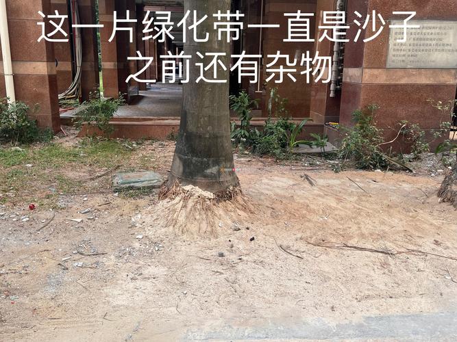 乱倾倒园林垃圾 海口2家物业被处罚并责令整改