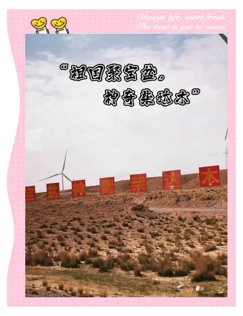 (身边的变化)柴达木盆地开出万亩“沙漠人参”花 创收兼顾生态
