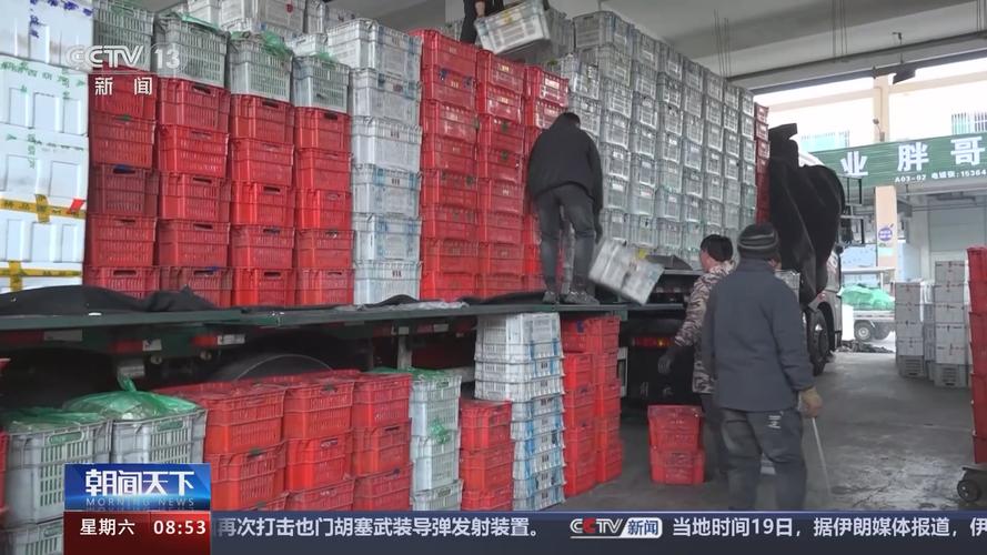 “冬去春来”处处洋溢融融暖意 活力无限的中国升腾“烟火气”
