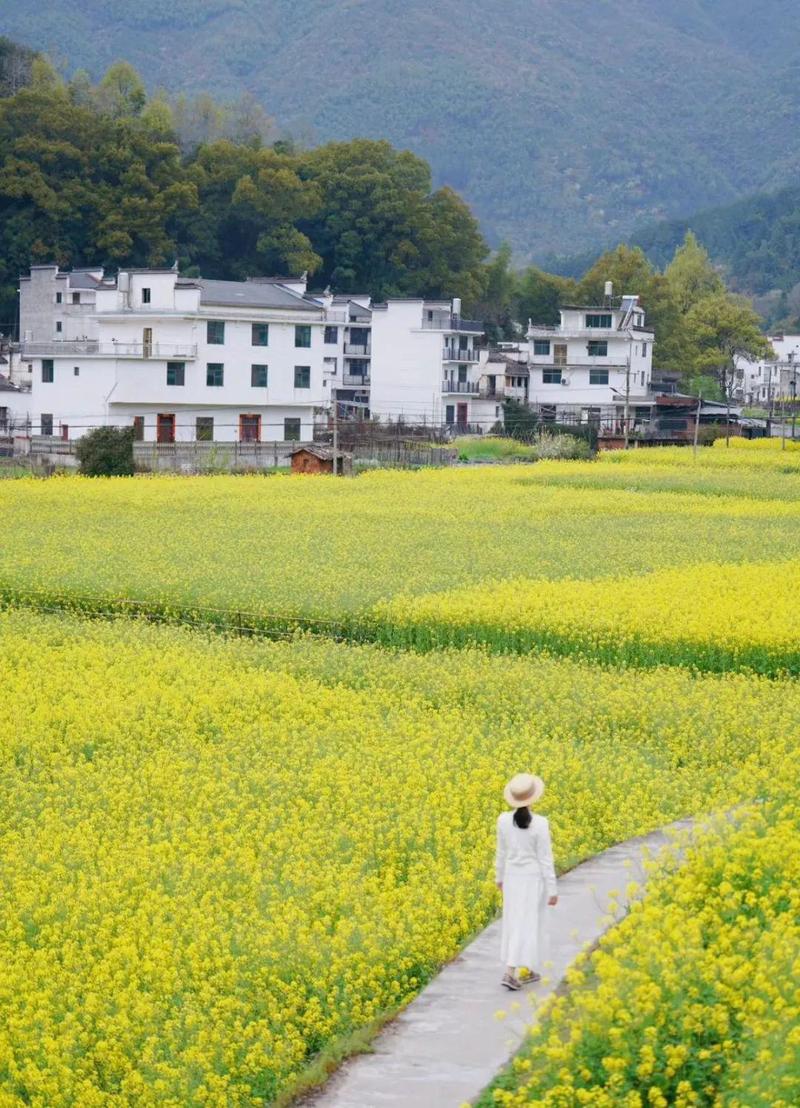 错峰出游 奔赴春天