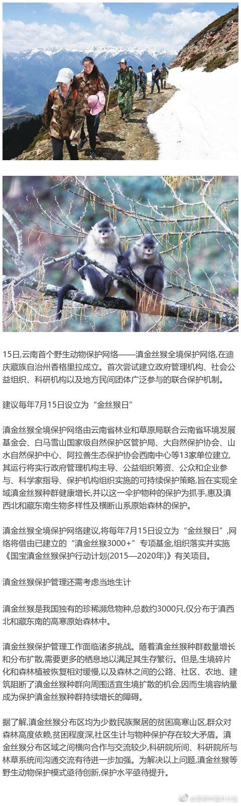 滇金丝猴全境保护网络成立5年来保护成效明显