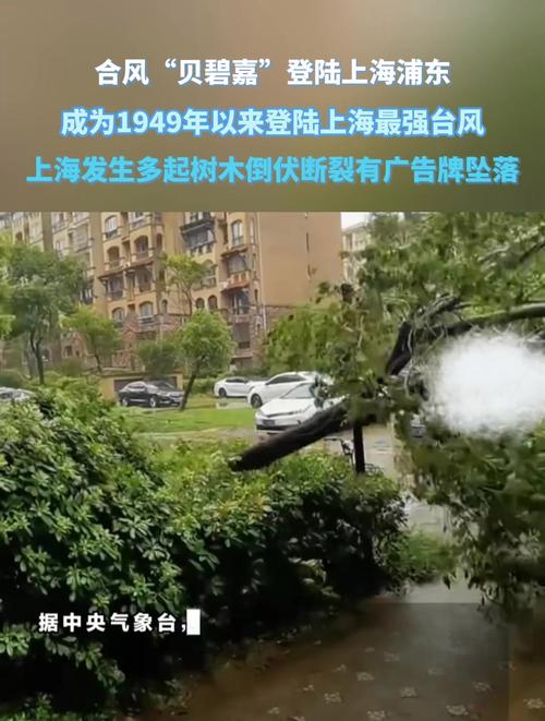 台风“贝碧嘉”登陆上海浦东 成为1949年以来登陆上海的最强台风