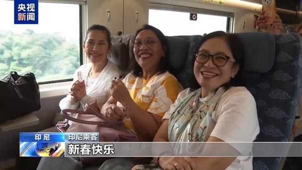 我驻多国使领馆举办春节庆祝活动共庆佳节