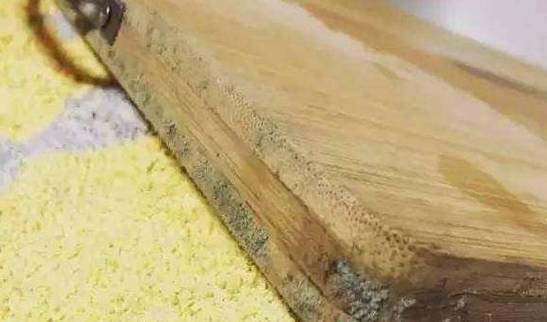 菜板发霉了,该开水烫还是太阳晒?