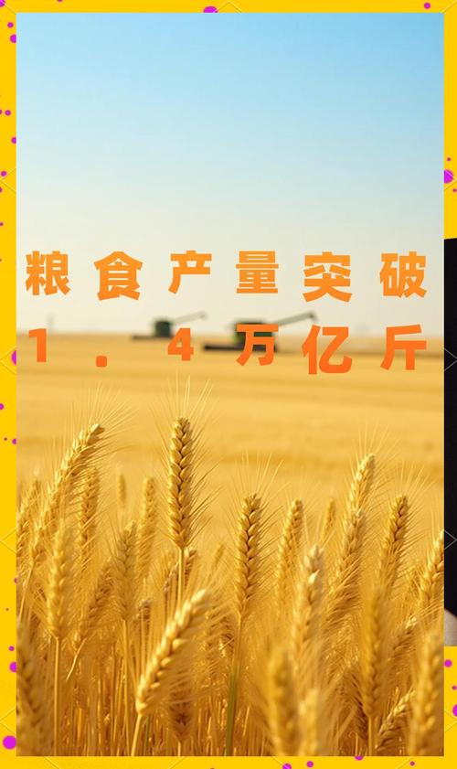 透过数据看“大国粮仓”的底气 科技装备助力秋粮丰收