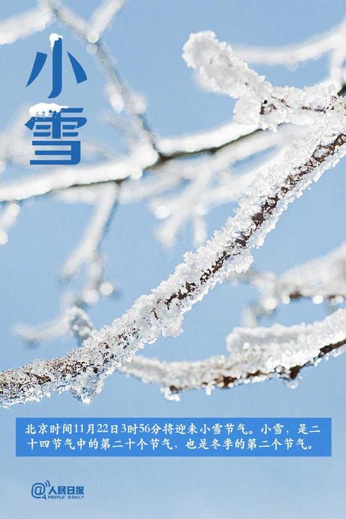 小雪至!今日起北京气温步步下滑 周末冷空气来袭或迎雨雪天气