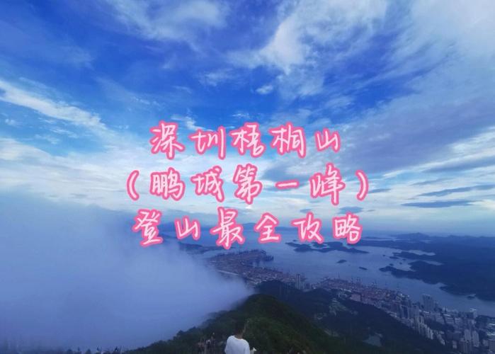 夏日登山中暑高发 深圳120救护车10天“登”13次梧桐山