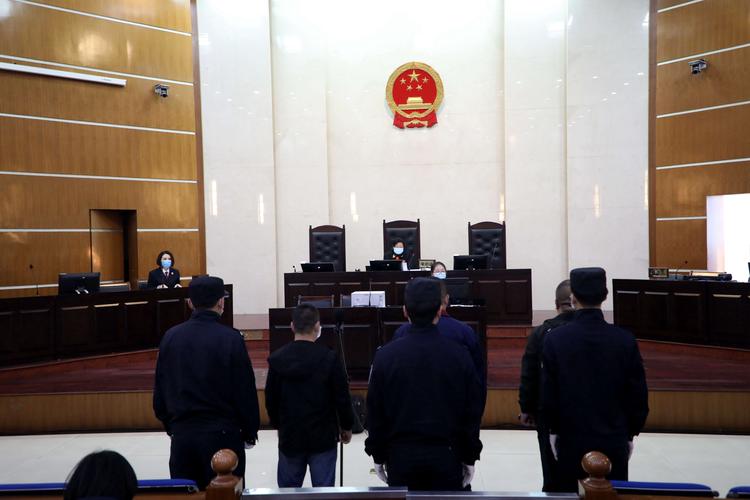 山西省政协委员许韶琛:加强“帮信罪”预防治理 守护青少年健康成长