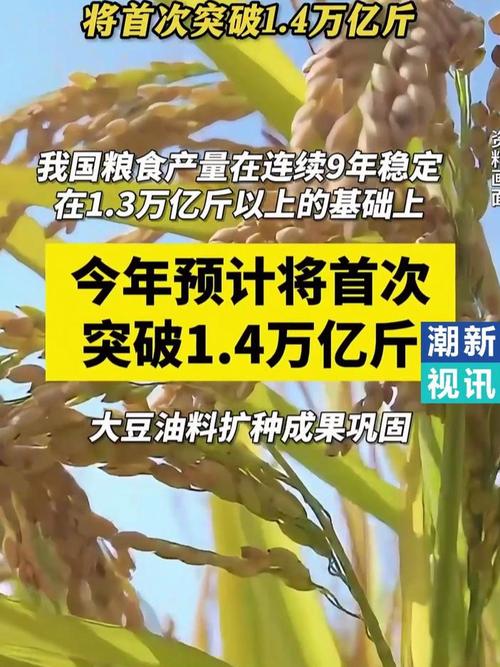 中国早稻产量连续4年在2800万吨以上