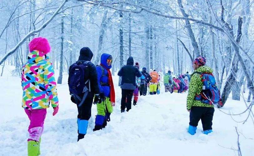 林海雪原徒步、寻豹探险 青海“冰雪+”业态渐丰