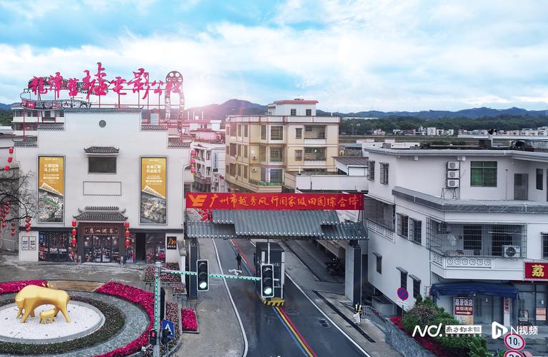 (走进中国乡村)全链路数字化 中越边境养猪小镇焕新生