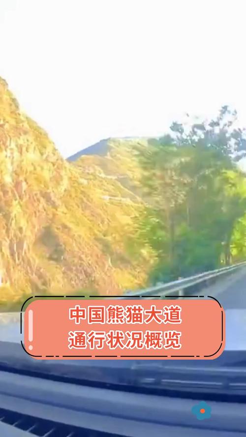 聚焦国家公园立法|建设生态廊道 为大熊猫让路