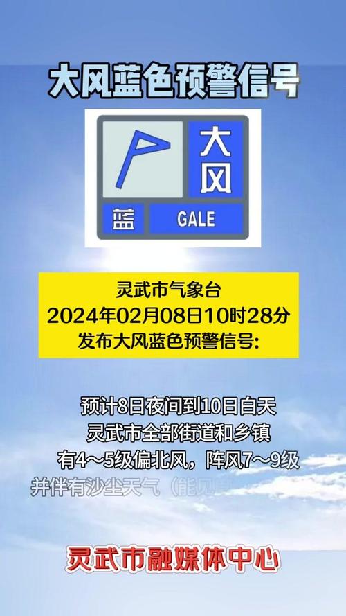 湖北省阳新县发布大风蓝色预警