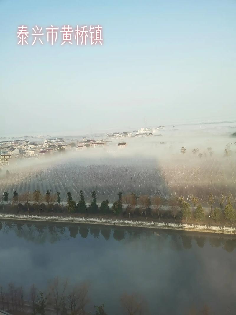 我恋泰兴(我与一座城)