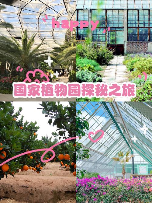 探寻植物奥秘,在这个科普课堂上体验世园会“零距离”