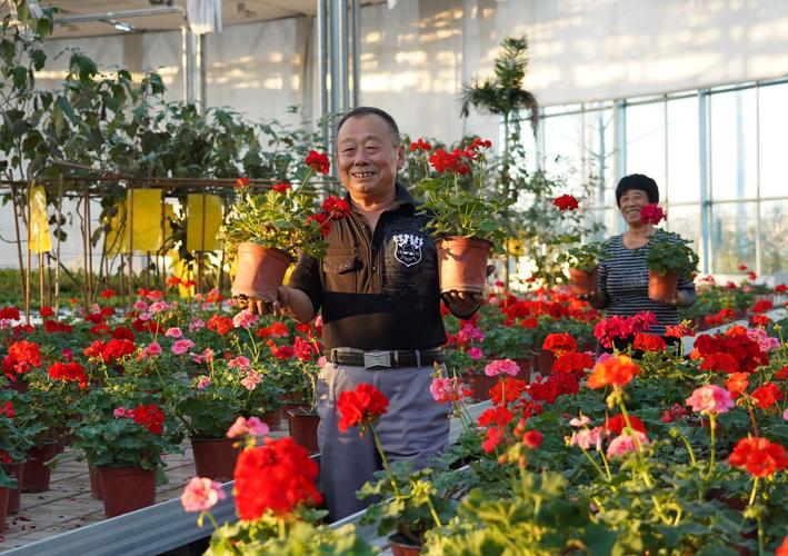 “鲜花+”盘活产业生态 花经济增“色”添“香”热文旅