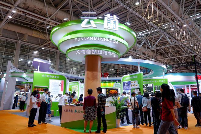 云南省云品出滇生态绿色食品产业溯源启动仪式在昆举办