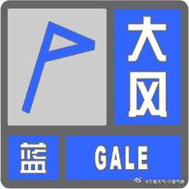 宁夏回族自治区贺兰县发布大风蓝色预警_7