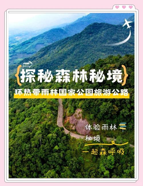搬出大山 守护雨林!生态搬迁保护热带雨林核心区