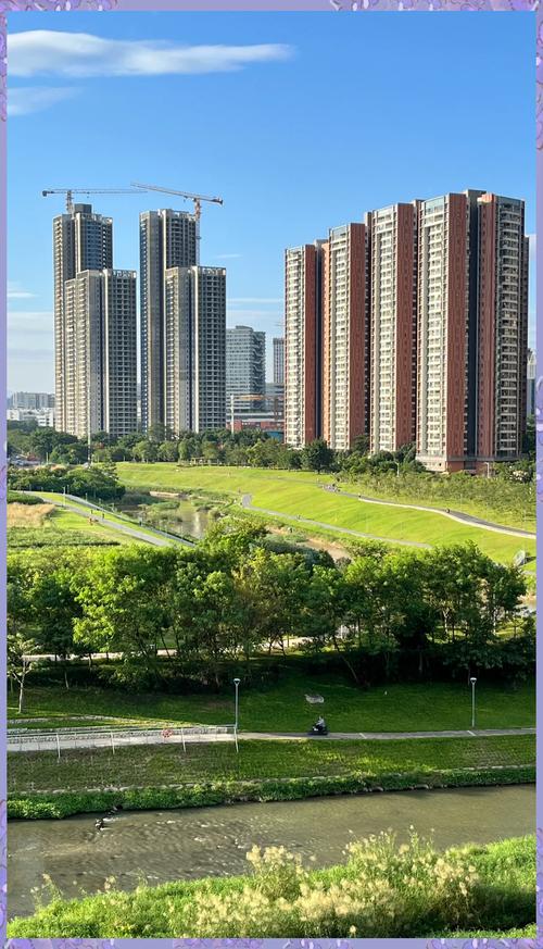 坪山:涵盖多个新兴领域