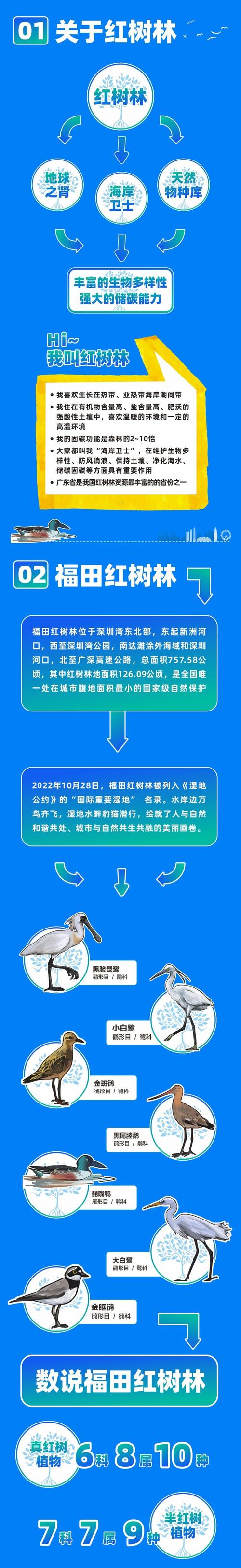 儋州实施红树林碳汇交易,探索红树林生态产品价值实现路径