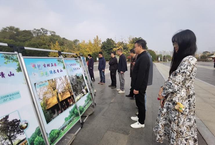 临高为保护古树名木开展专项行动