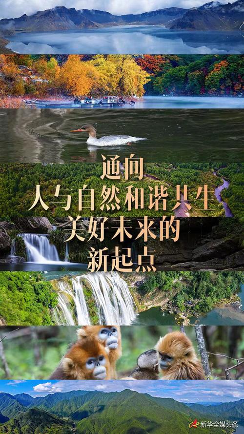 当野生动物“进城”与人类成为“新邻居” 如何做到和谐共生?