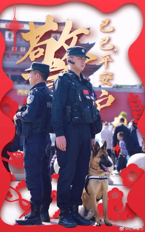 春节期间云南日均投入 3万余人次警力护平安