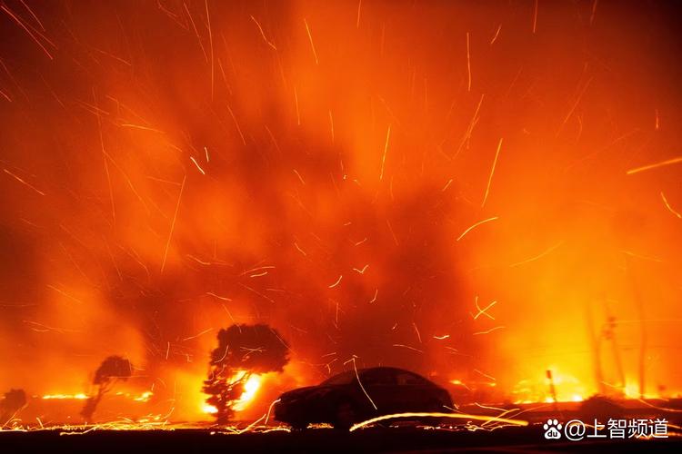 美国西部山火持续蔓延 1人死亡