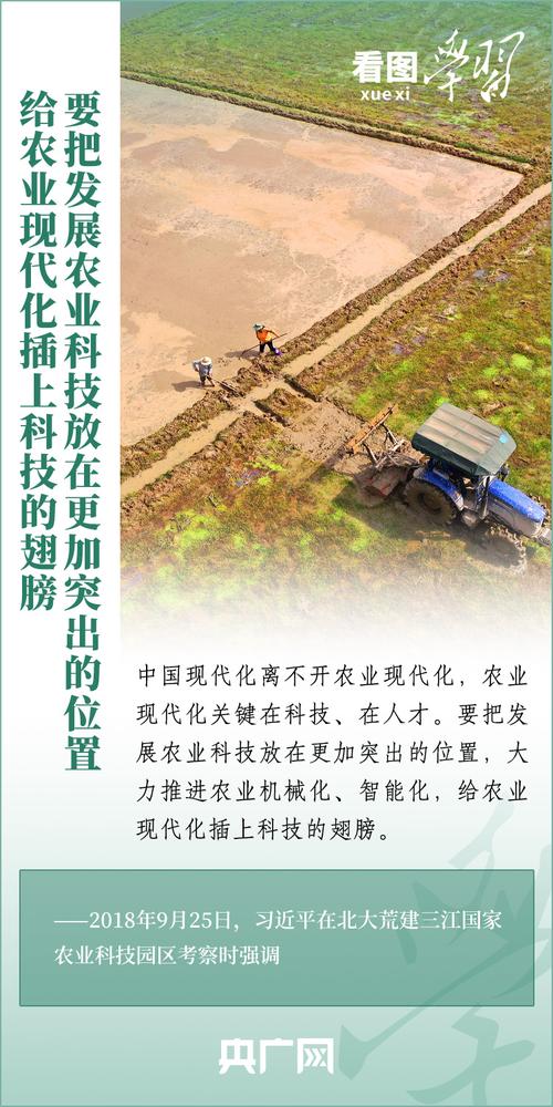“良种+良法+良技”让盐碱地变良田 希望的田野绘就好“丰”景