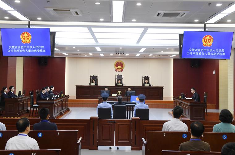 上海市人大常委会原主任董云虎一审被判无期徒刑