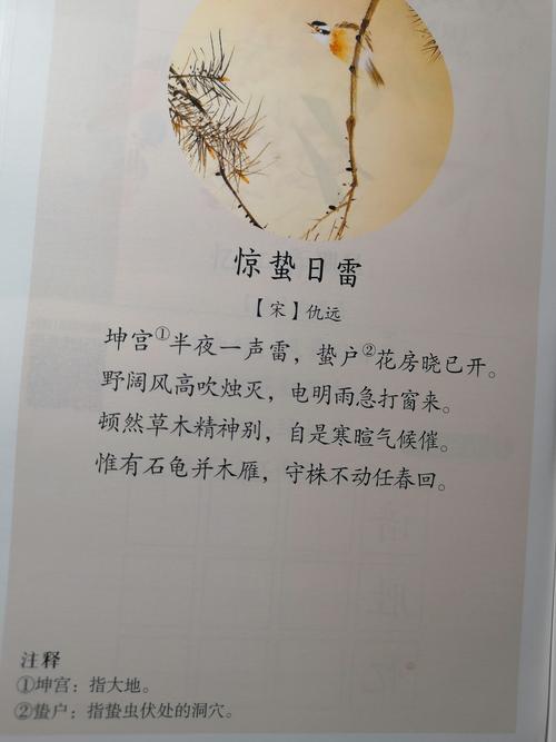黑龙江:“惊蛰首日”有点冷 最高温不超1℃