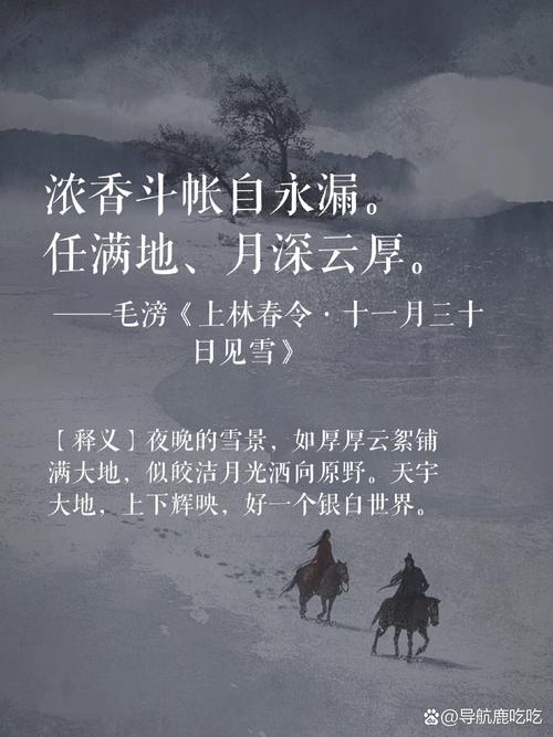 浅冬薄念 雪满人间