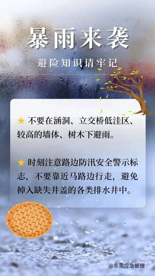 多站破历史极值!广西贺州市暴雨蓝色预警持续生效中