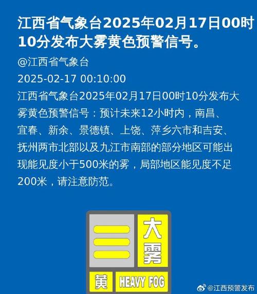 江西省瑞昌市发布大雾黄色预警